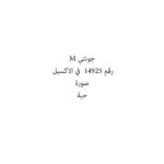 جونتي M