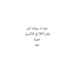 عود ند رويال كبير