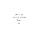 عود ند صغير