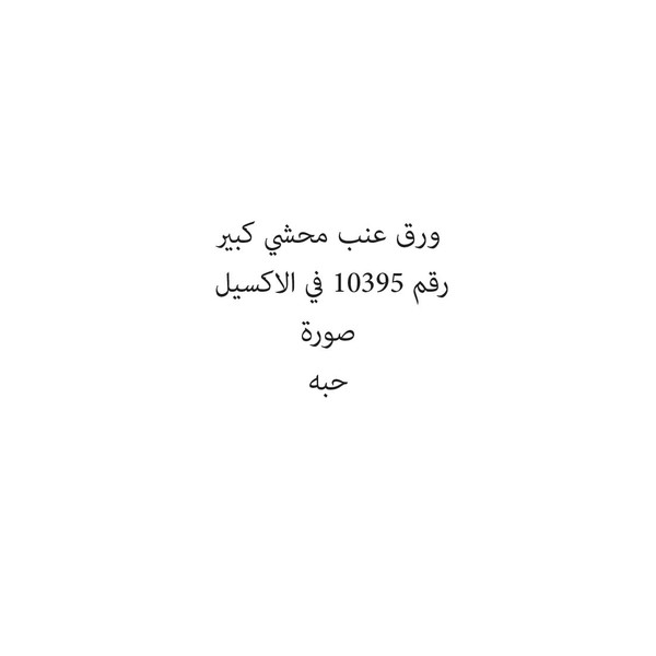 431002-حبة ورق عنب محشي كبير - Image 1