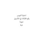 اسفرة النورس