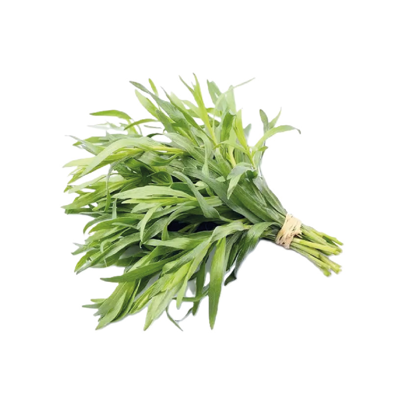 00039 حبق - Image 1