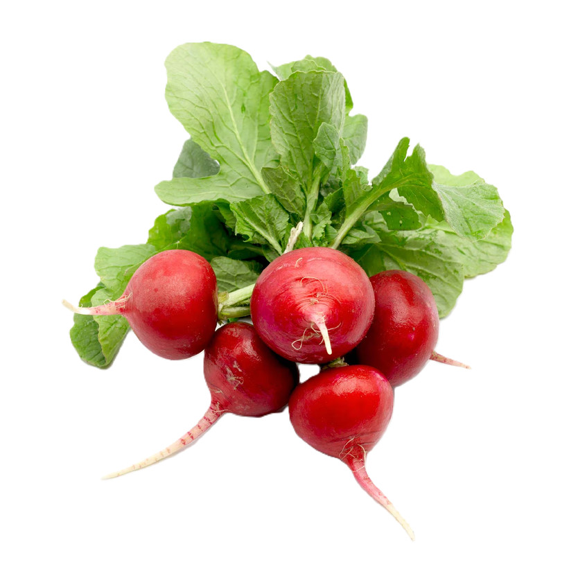 00109-كيلو فجل احمر - Image 1