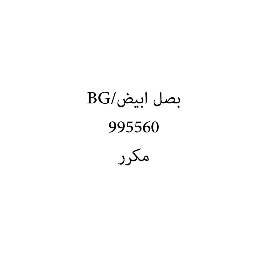 00632 بصل ابيض/BG - Image 1