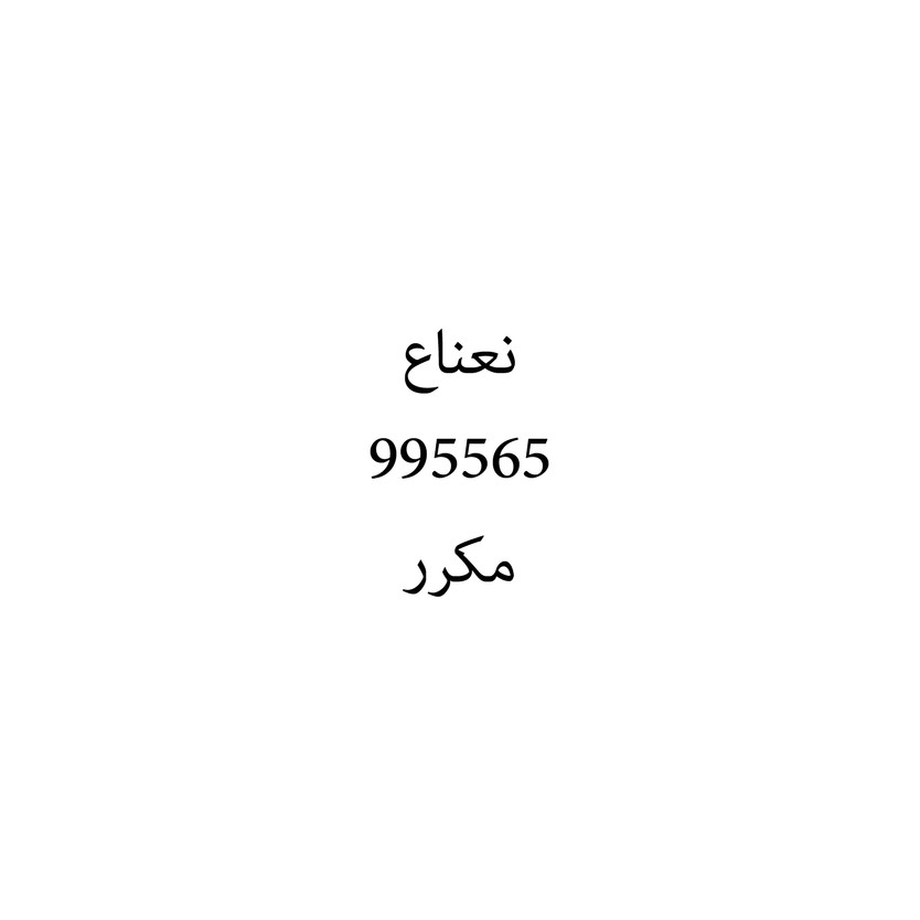 00637 نعناع - Image 1