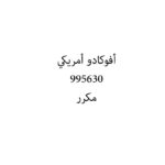أفوكادو أمريكي