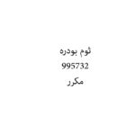 ثوم بودره