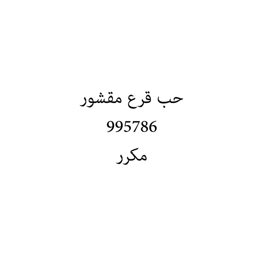 00857 حب قرع مقشور - Image 1