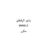 بذور اليقطين